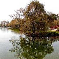 باغ ملی گیاهشناسی